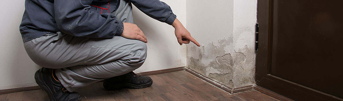 Ein Handwerker zeigt schwere Schäden durch Schimmel an der Wand